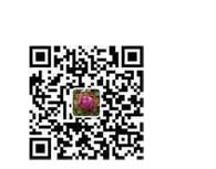 ��ϵ����